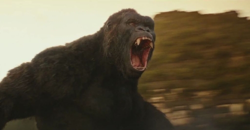 Could The Kong From Skull Island Exist?
