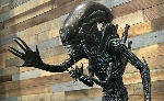 A closer look at the would-be Alien 5 Xenomorph from Neill Blompkamp's canceled project