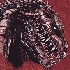 shin godzilla king