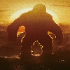 Kong