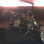 New Transformers: Age of Extinction Promotional Banner Leaked! (Exclusive)