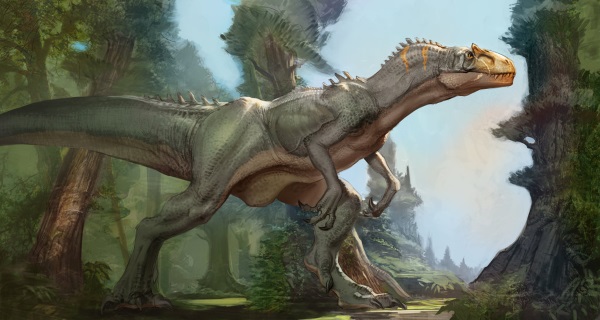 Ceratosaurus Vs. Allosaurus
