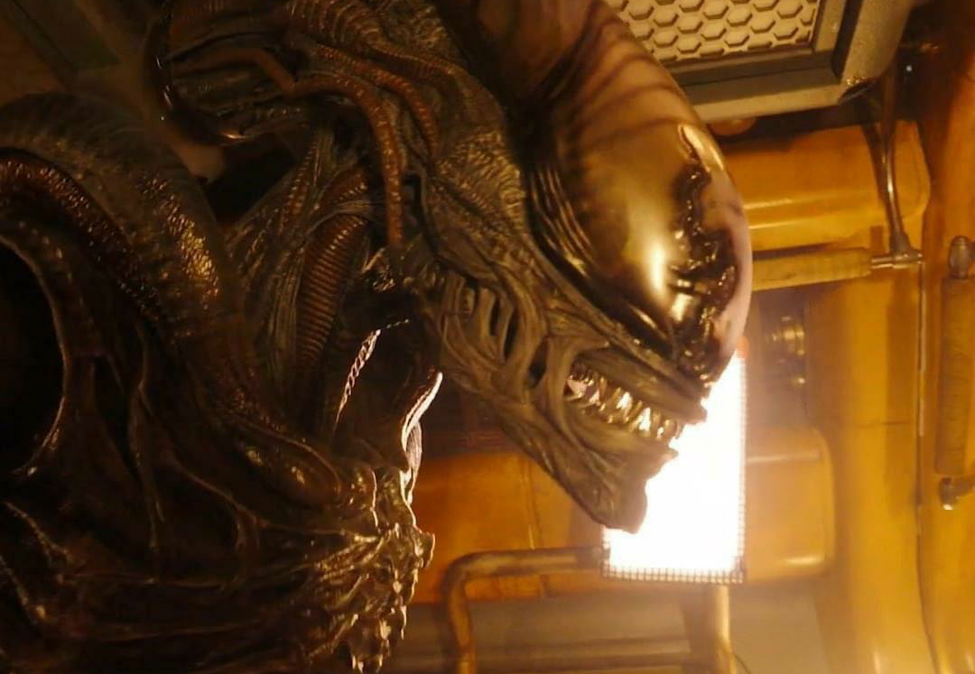 Alien: Romulus crosses $283 million at the box office, franchise nearing $2 billion!