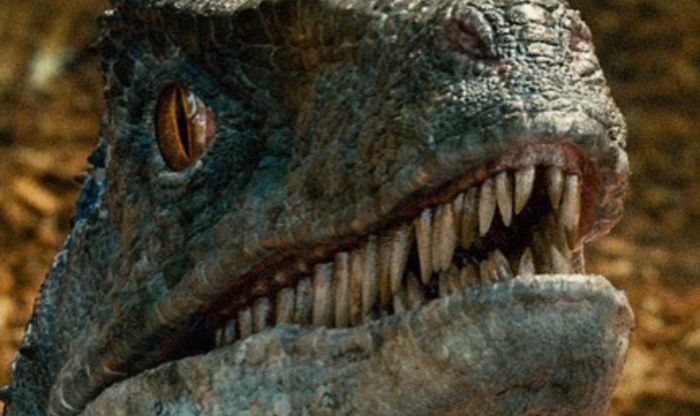 Colin Trevorrow teases 'insane action sequence' in Jurassic World 2!