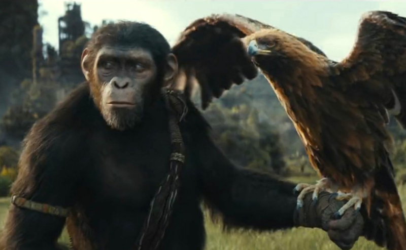 Kingdom of the Planet of the Apes official movie trailer and release date!