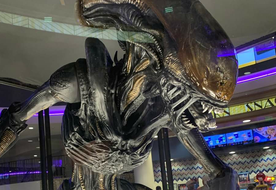 Life-size Scorched Xenomorph on display for Alien: Romulus!