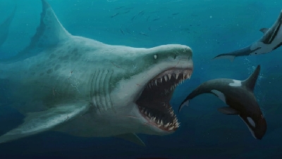 First look at 'The Meg' movie features Jason Statham!
