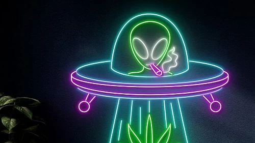 The Best Same-Day Weed Delivery Services in Etobicoke (2025 Review)