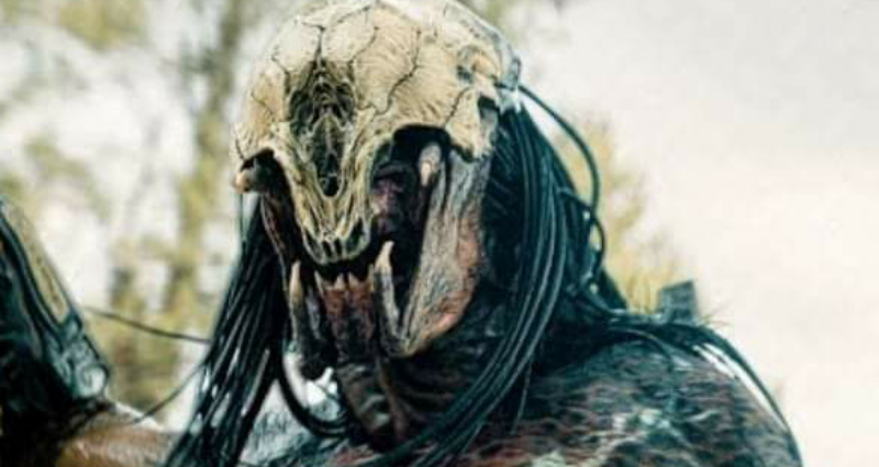 New Prey movie featurette debuts even more Feral Predator footage!
