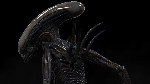 Alien: Covenant Protomorph Concept Art by Colin Shulver!