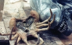 Disney CEO confirms new Alien (reboot) movie is called Alien: Romulus!