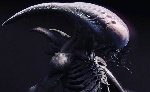 Fan Art Spotlight: Alien Neomorph and Bull Xenomorph concepts!