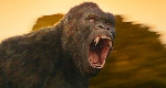 Kong Revealed & Details from Director Jordan Vogt Roberts