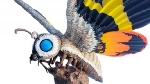Mondo Unveils Monstrous New Godzilla Products