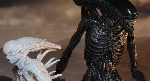 NECA Alien: Covenant Neomorph, Xenomorph, Chestburster figures unveiled!
