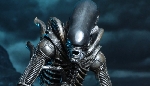 NECA Burke & Xenomorph Hadley's Hope figure set revealed!