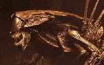 NECA unveil new Alien: Resurrection Queen figure!