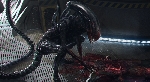 New Xenomorph Alien: Covenant concept art by MPC hits the web!