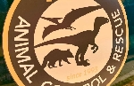 Photos from the set of Jurassic World: Rebirth reveal bio-hazard Animal Control units!