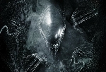 S.H. MonsterArts considering producing Alien: Romulus figures!