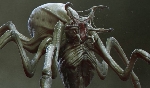 Unused Predator Spider creature concept from The Predator (2018) is pure nightmare fuel