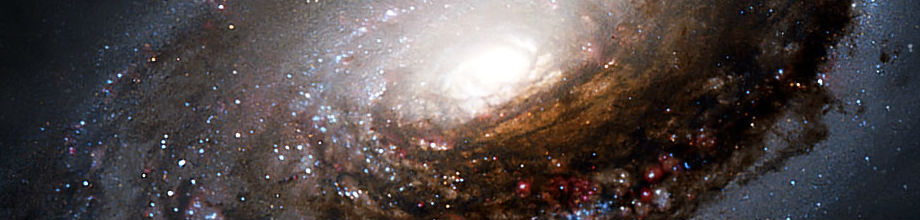 User Banner