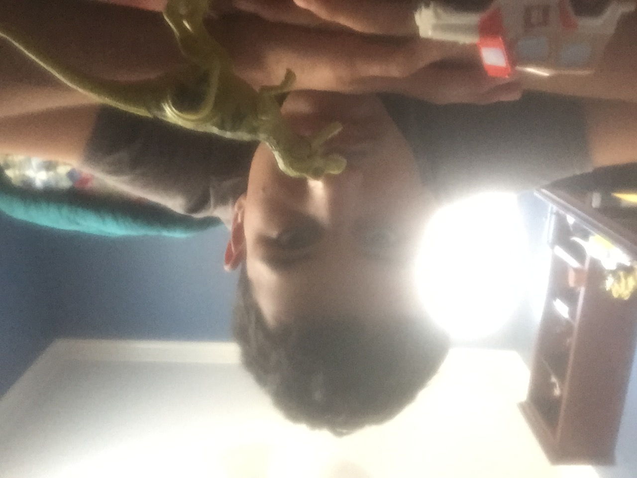 User Banner
