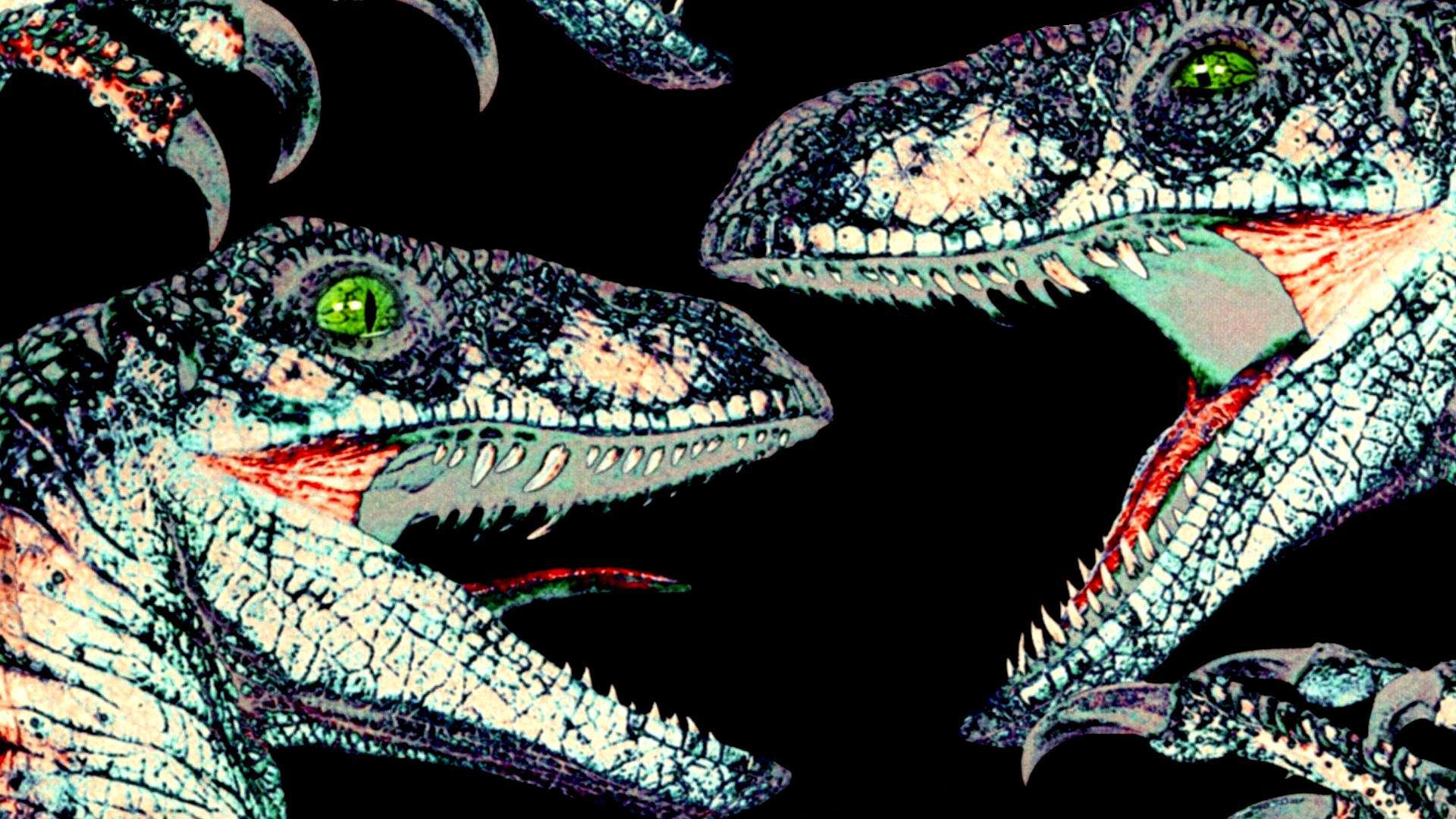 User Banner
