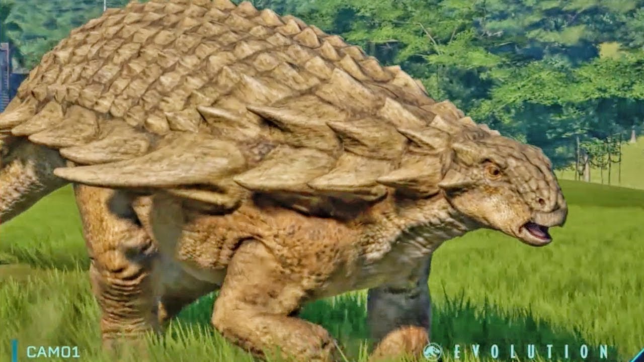 User Banner