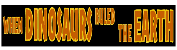 User Banner