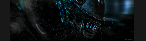 User Banner