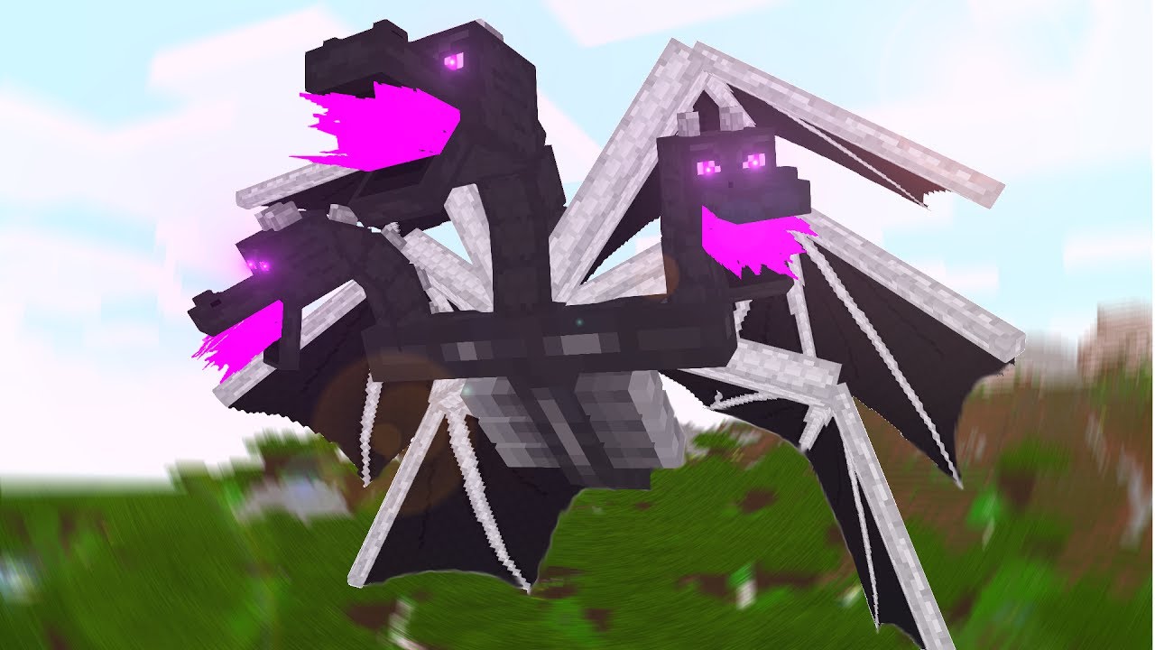 User Banner