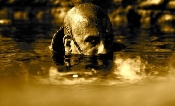 Riddick - Underwater Assassin