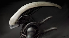 Alien: Covenant Xenomorph 