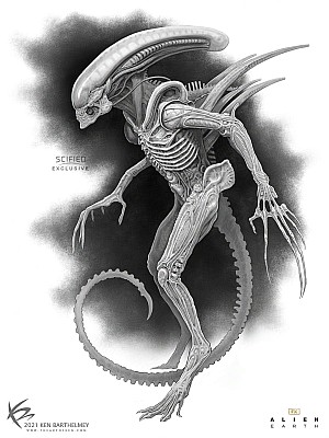 Alternative / Unused Xenomorph Designs