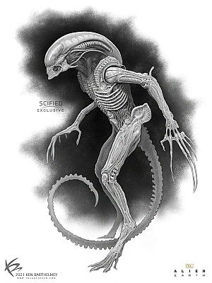 Alternative / Unused Xenomorph Designs