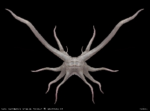 Trilobite Alien Concept