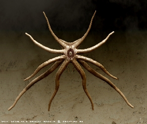 Trilobite Alien Concept