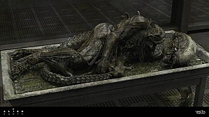 Dead Xenomorph