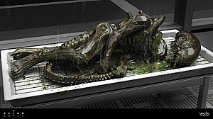 Dead Xenomorph