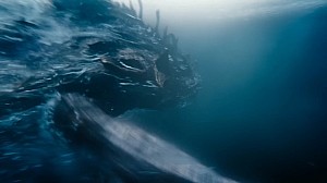 Legacy of Monsters S2 TV Spot