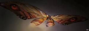Official Mothra Concept Art
