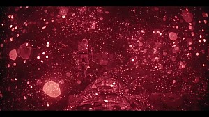 Project Hail Mary Screenshots