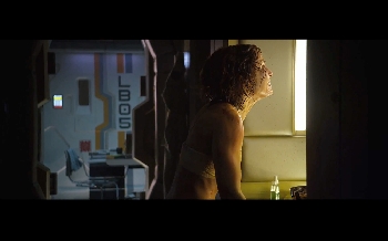 International Trailer