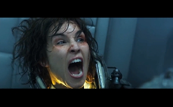 International Trailer