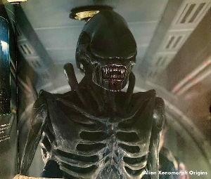 Protomorph suit