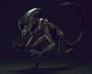 Raid Collab: Xenomorph