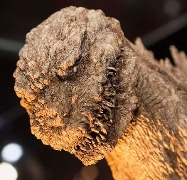 Shin Godzilla close up. 