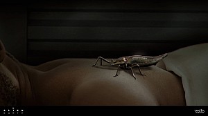 Tick stages concept art by Alex Ries