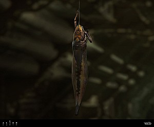 Tick stages concept art by Alex Ries